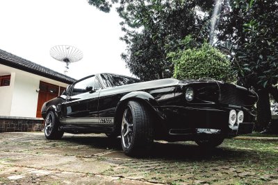 De Mustang in vogelvlucht